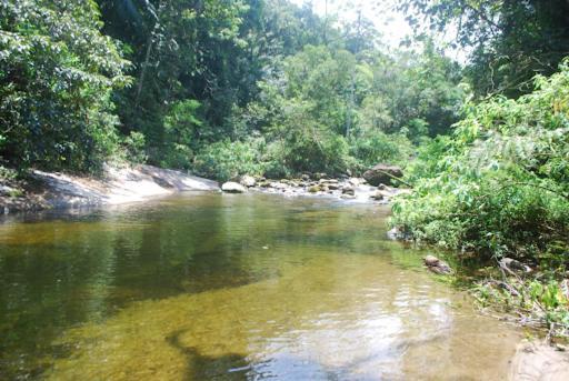 Casa Em Cond. Fechado Praia Mococa - Caraguatatuba Mar Verde Extérieur photo